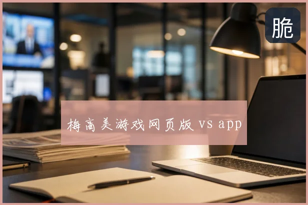 梅高美游戏网页版 vs app